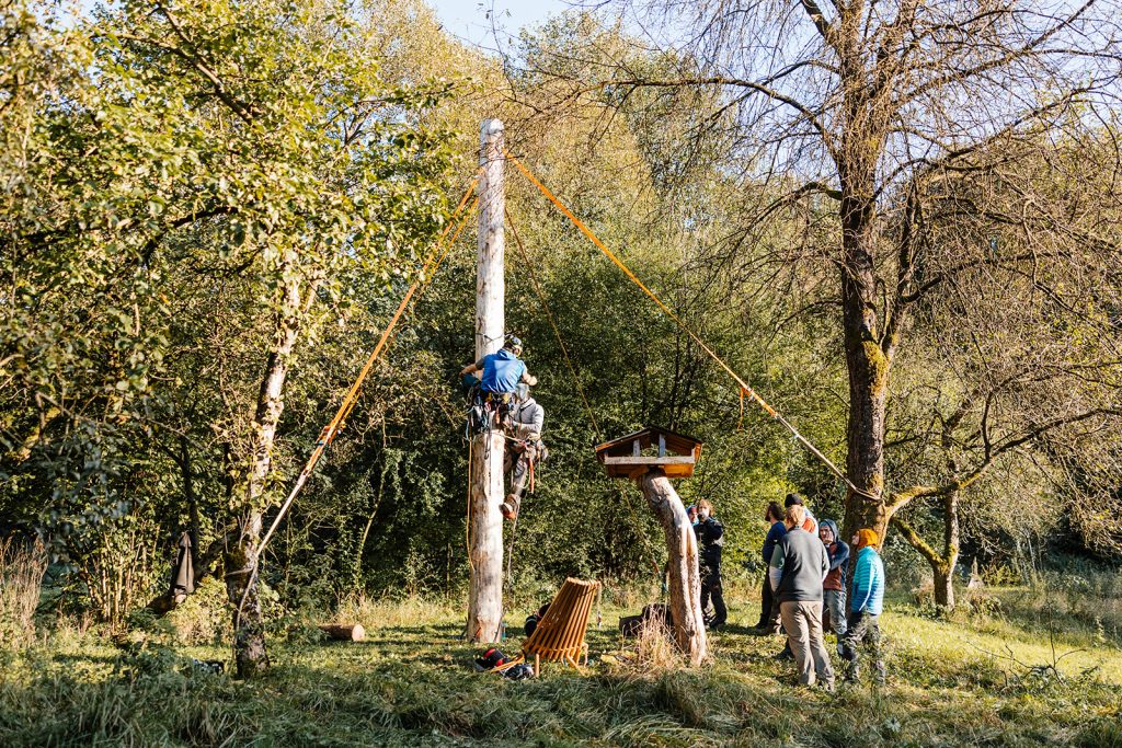 BAUMPFLEGE WOCHENENDE 2024
